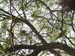 P1020227